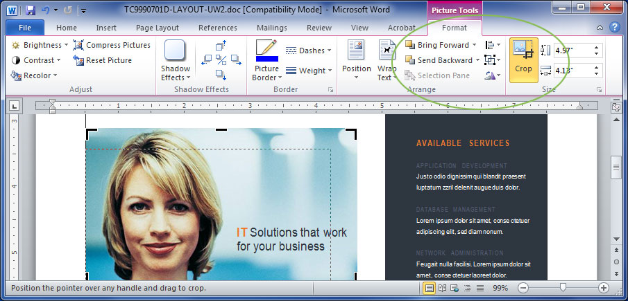 Crop Picture Microsoft Word Screen